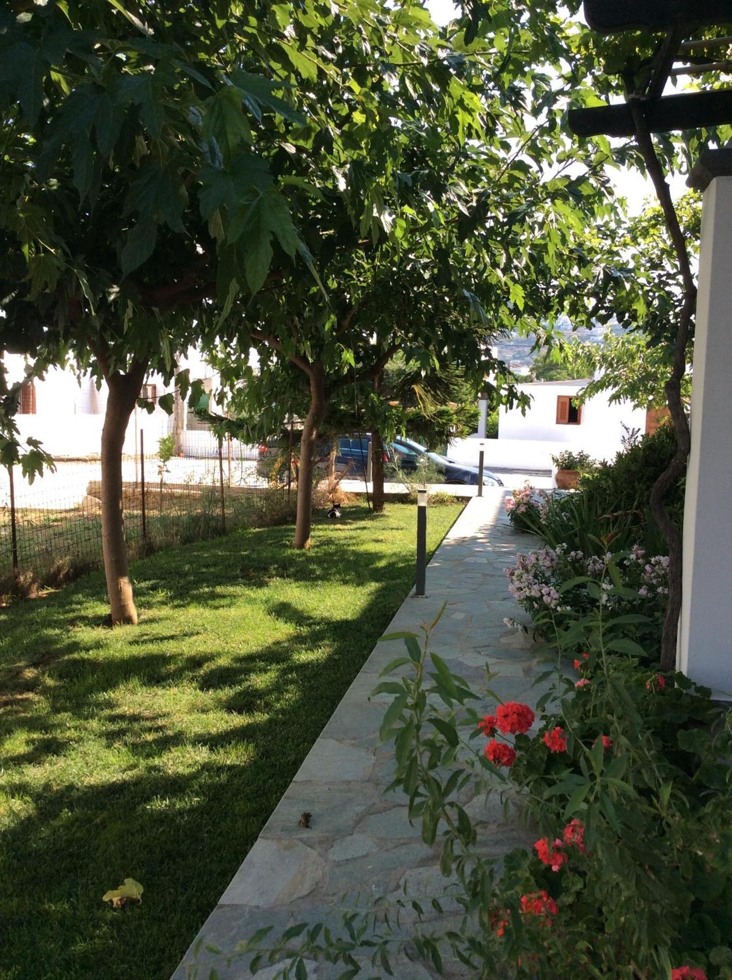 Eleana Studios Skyros Quarto foto